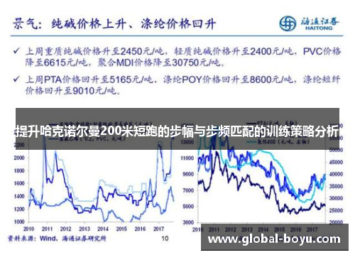 提升哈克诺尔曼200米短跑的步幅与步频匹配的训练策略分析