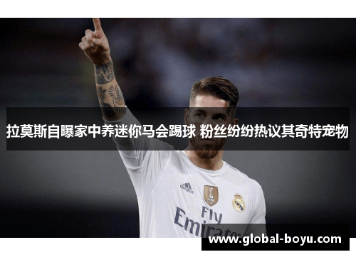 拉莫斯自曝家中养迷你马会踢球 粉丝纷纷热议其奇特宠物