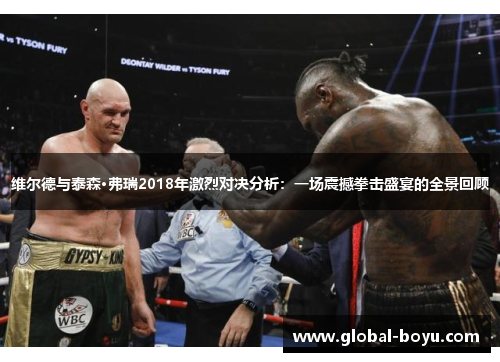 维尔德与泰森·弗瑞2018年激烈对决分析：一场震撼拳击盛宴的全景回顾