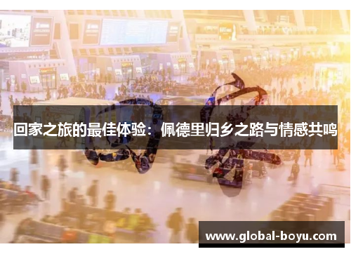 回家之旅的最佳体验：佩德里归乡之路与情感共鸣