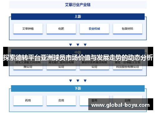 探索德转平台亚洲球员市场价值与发展走势的动态分析