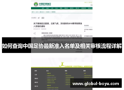 如何查询中国足协最新准入名单及相关审核流程详解