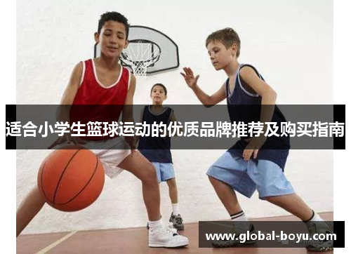 适合小学生篮球运动的优质品牌推荐及购买指南